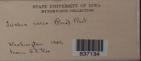 Image Associated With the Occurence